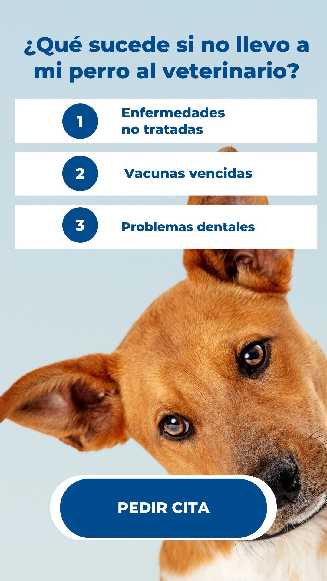 Riesgos de no llevar a tu perro al veterinario