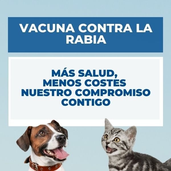 se puede vacunar a un perro contra la rabia antes de tiempo