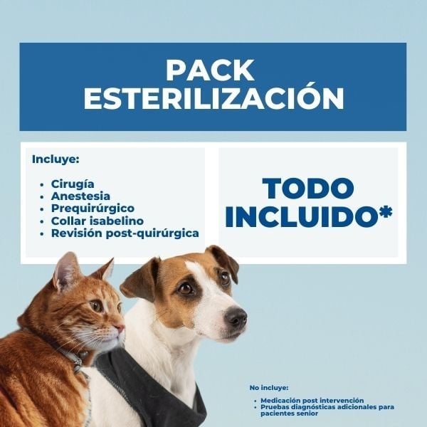 cuanto tarda en recuperarse la perra de la esterilizacion